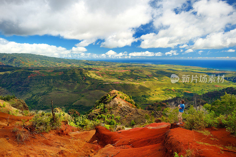年轻的男性游客欣赏威美亚峡谷的景色，考艾岛，夏威夷