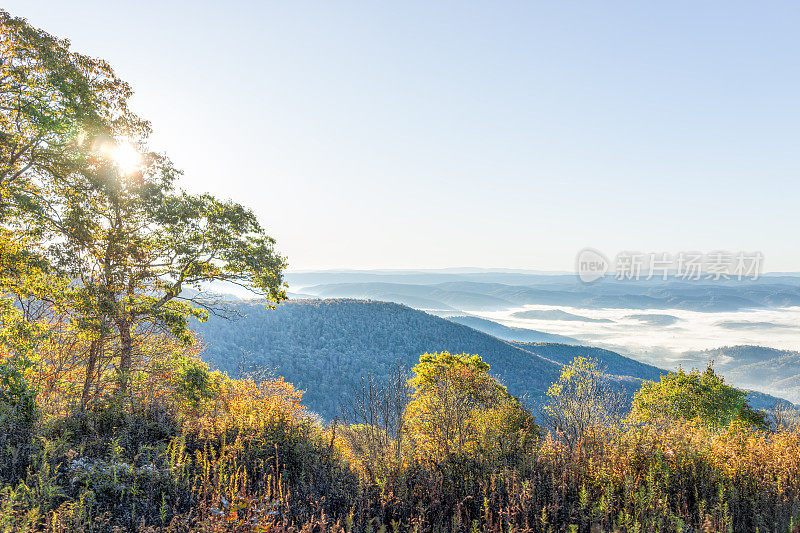 在秋天俯瞰西弗吉尼亚的山脉与树叶和薄雾云覆盖山谷在早晨日出阳光，太阳爆发的林间空地