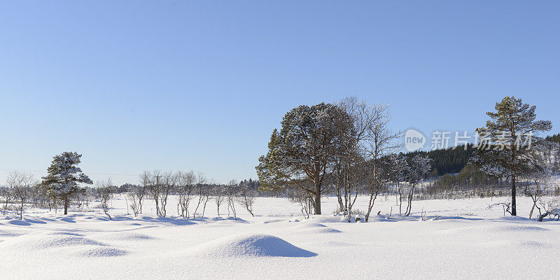 挪威森加岛冬日的雪景