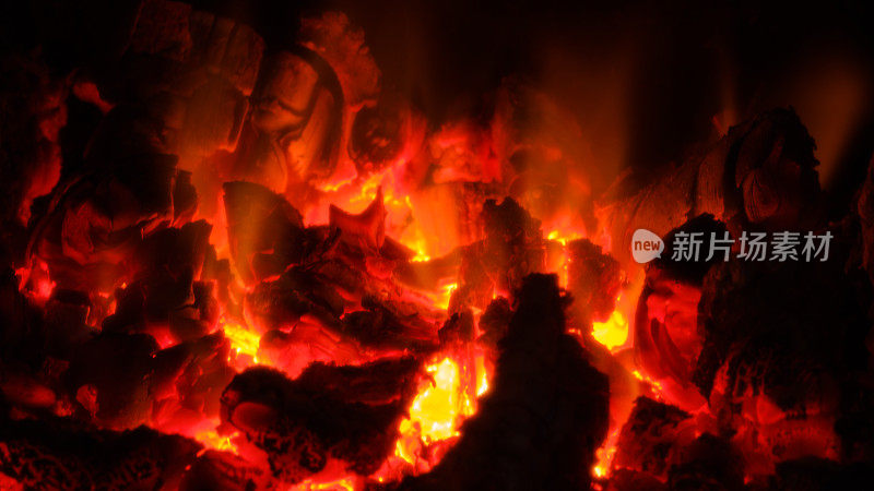 温暖的壁炉和许多树准备烧烤