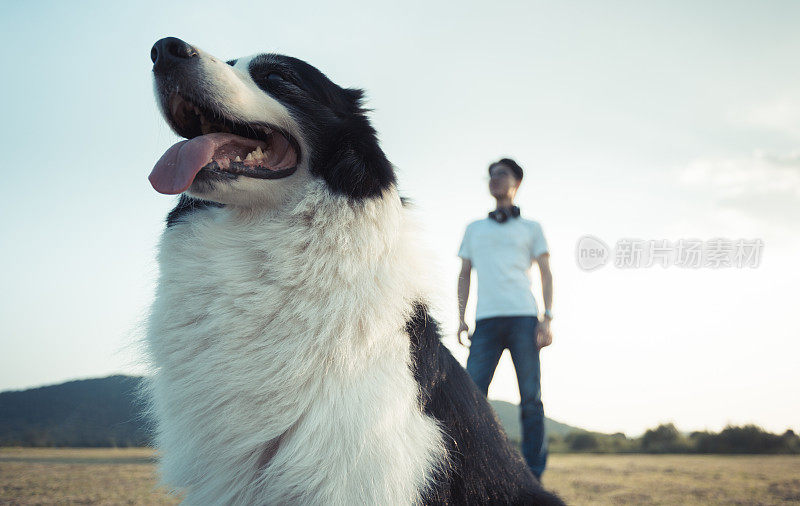 男主人和他的边境牧羊犬享受闲暇时光