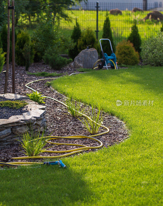 橡胶花园软管铺设在草坪和树皮花园边缘。