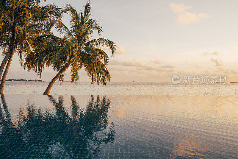 马尔代夫无边泳池里棕榈树的倒影