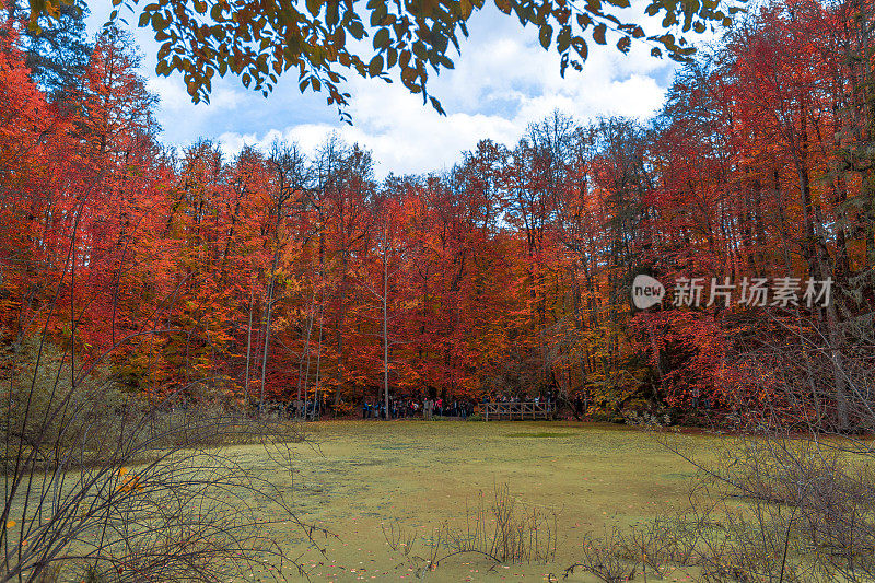 来自Yedigoller的秋天场景，土耳其