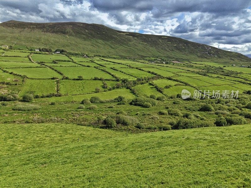 爱尔兰起伏的农田