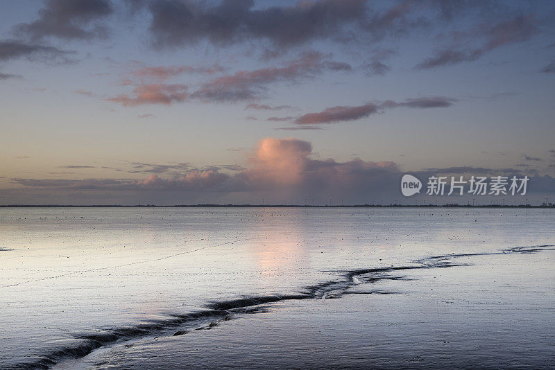 拂晓瓦登海