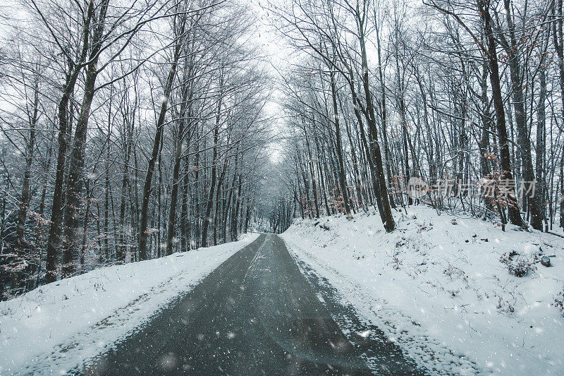 森林雪道