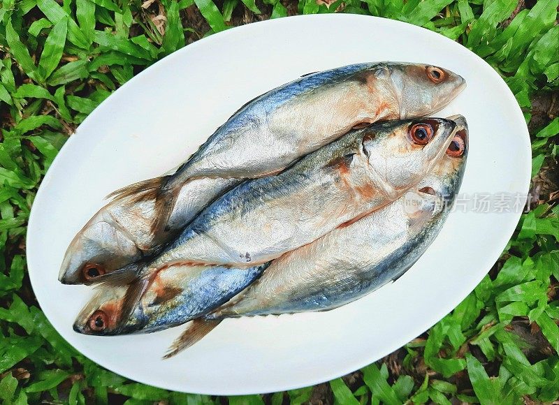 新鲜鲭鱼放在白色盘子里。