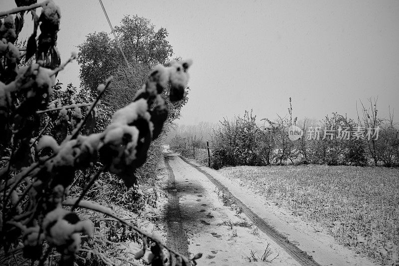 公园在冬天下雪