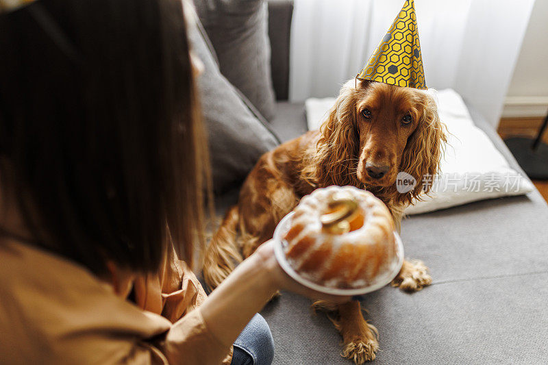 微笑的女人和她的狗在家里庆祝她的狗生日。