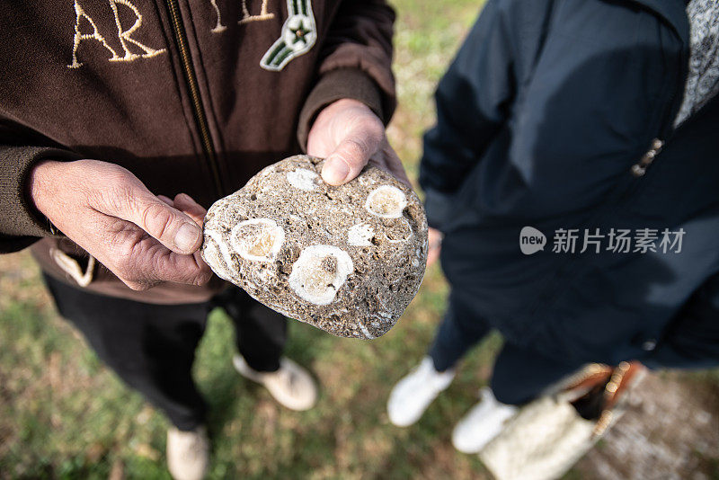 希腊海岸发现一名男子手握满是贝壳化石的石头