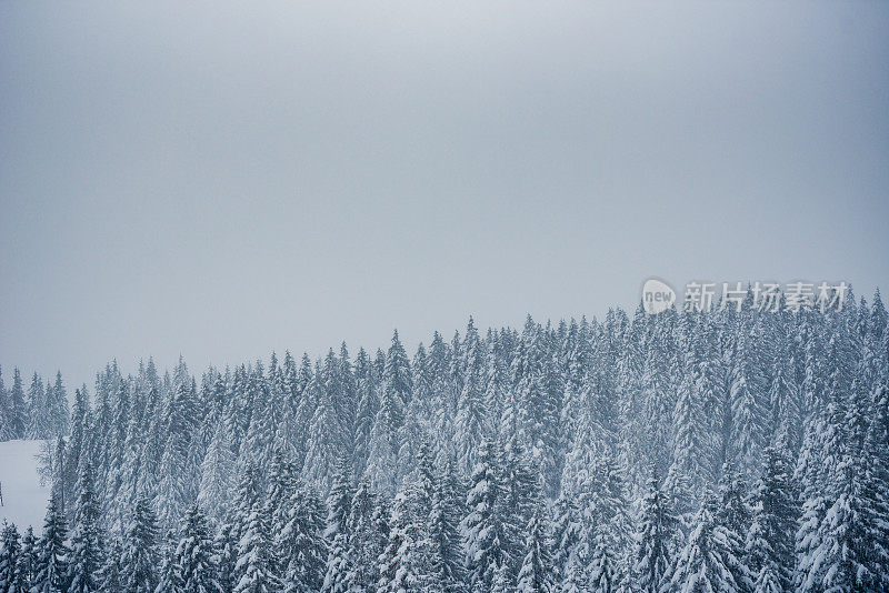 雪暴风雪