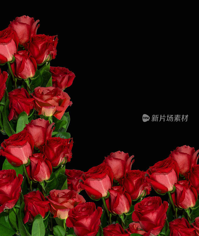 邀请参加葬礼或纪念活动，并附上红玫瑰。也可以作为横幅吗