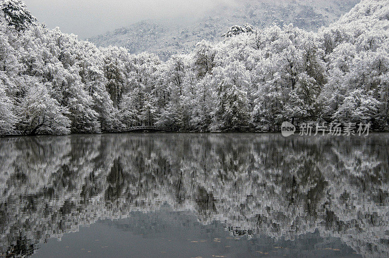 冬季Yedigöller国家公园的湖泊和森林景观