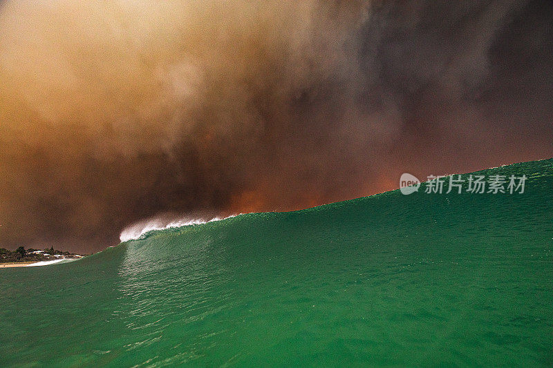 混乱。海岸上的丛林大火形成了浓密的黑烟云，形成了天空中的火灾风暴