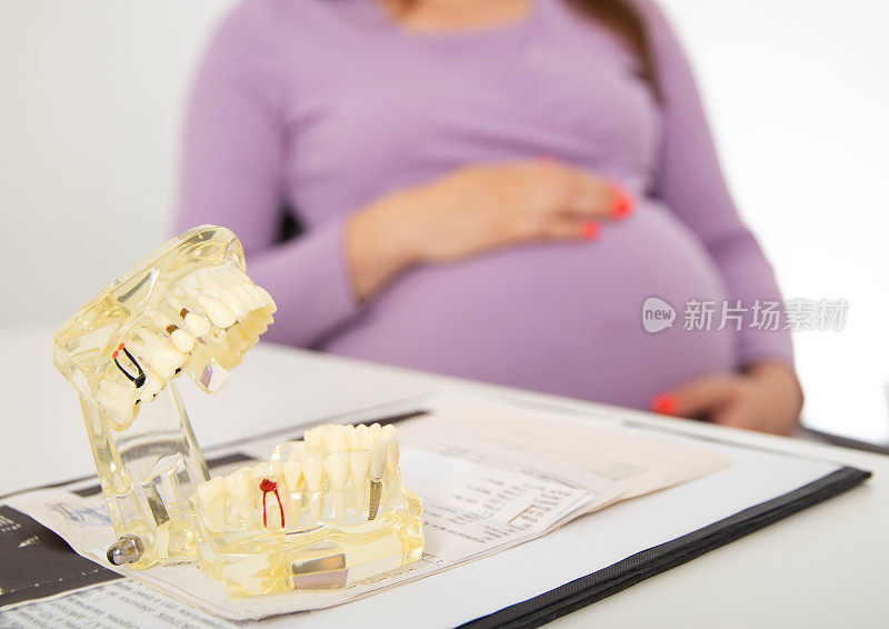 以大肚子怀孕的女孩为背景的牙科颌模型。禁止孕妇麻醉下进行牙科治疗的概念。文本复制空间
