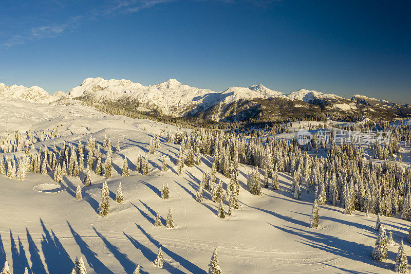 冬季雪景