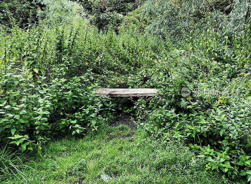 杂草丛生的木凳