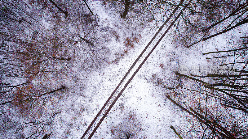 林间小路和雪地