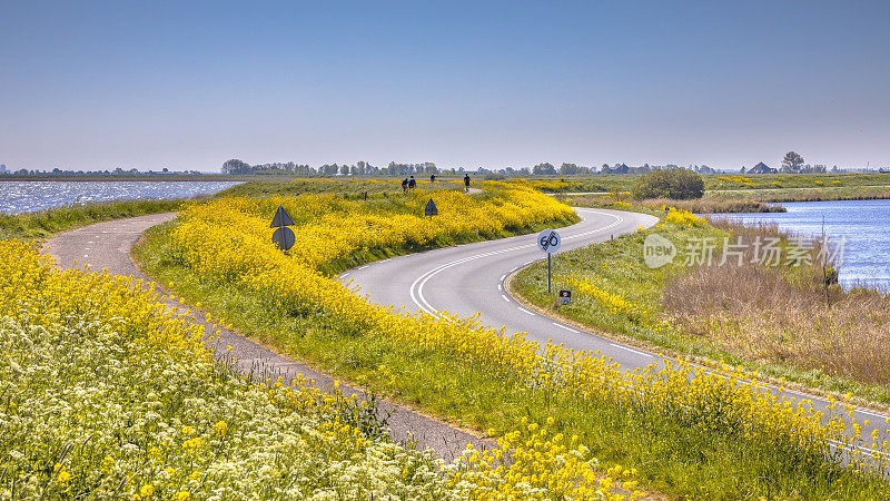 骑自行车的人带着黄色的花