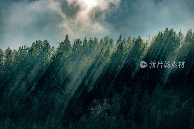 傍晚的雾与阳光在树木繁茂的山，芒加特山，Primorska，朱利安阿尔卑斯，斯洛文尼亚，欧洲