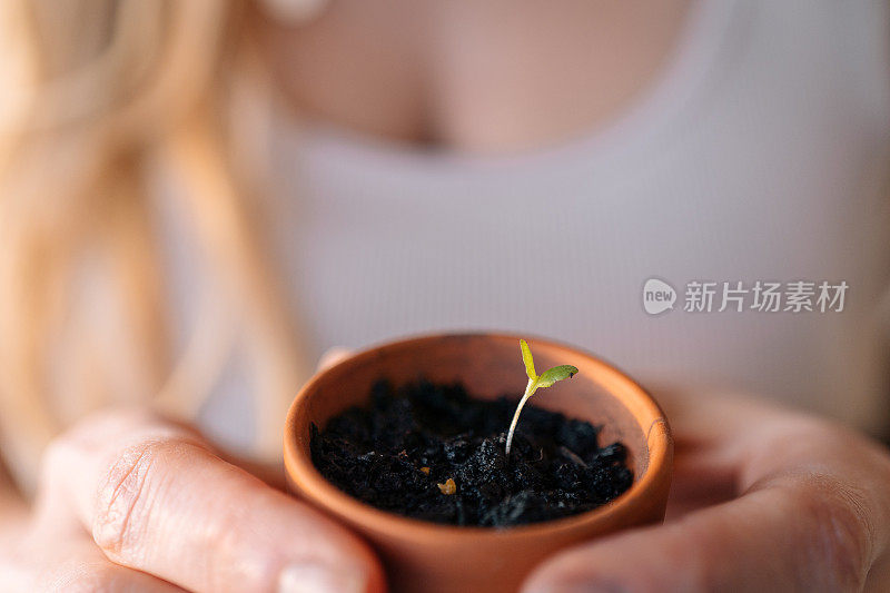 日出时分，年轻女子手持陶瓷播种机育苗