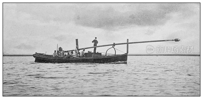 英国海军和陆军的古董照片:鱼雷船