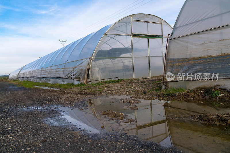 种植蔬菜的塑料温室