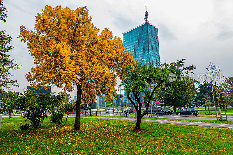 贝尔格莱德秋天景色