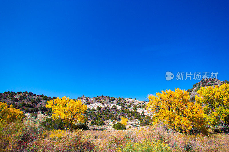 阳光普照的大河谷在秋天