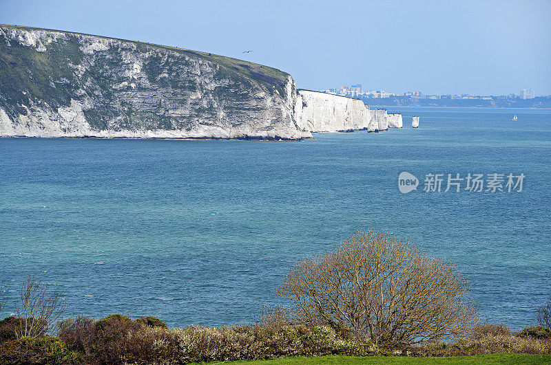 老哈里在阳光下从波贝克岛沿着侏罗纪海岸在多塞特，英国