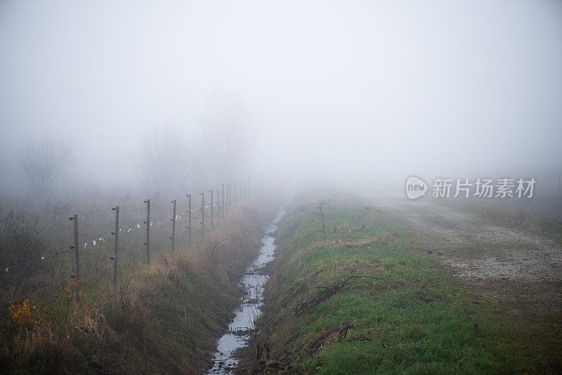 雾蒙蒙的秋天的风景