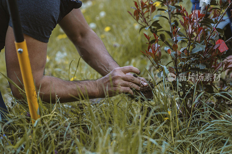 种植花园的人