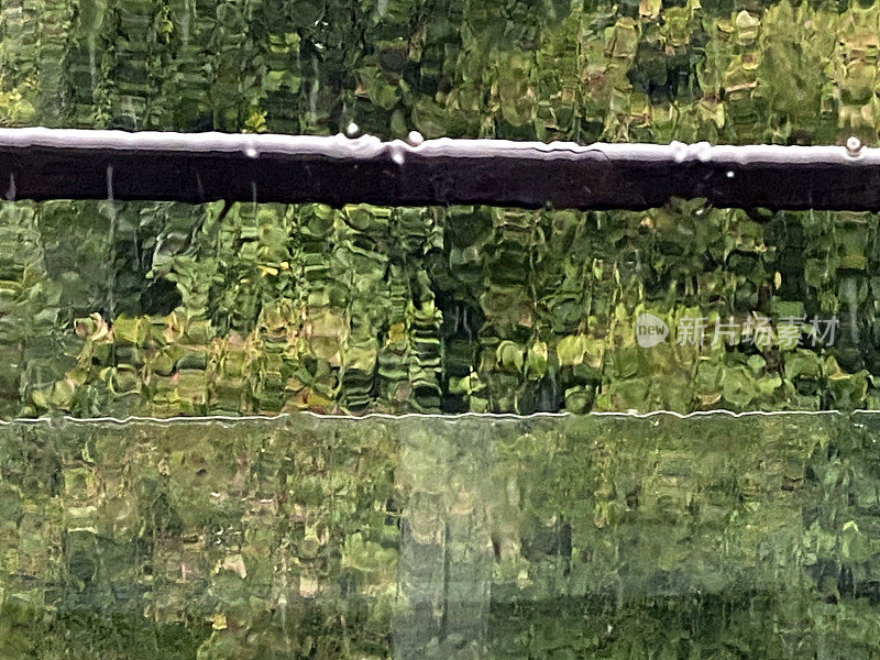 院子里下着大雨