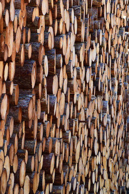木材工业堆垛木材堆