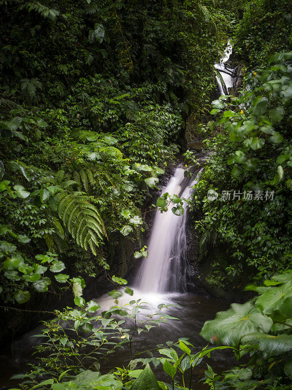 蒙特维达云森林生物保护区的瀑布
