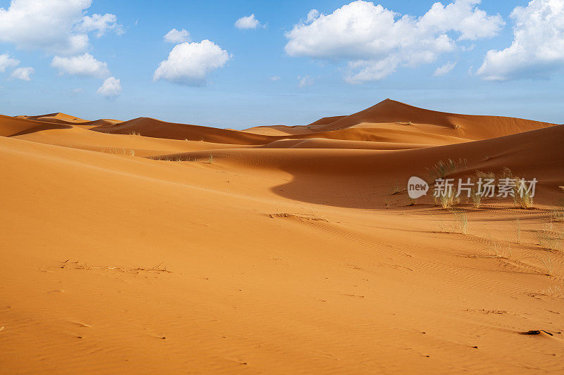 摩洛哥梅佐加沙漠的橙色沙丘和多云的天空。