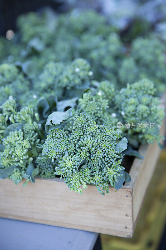 农贸市场出售的新鲜花椰菜