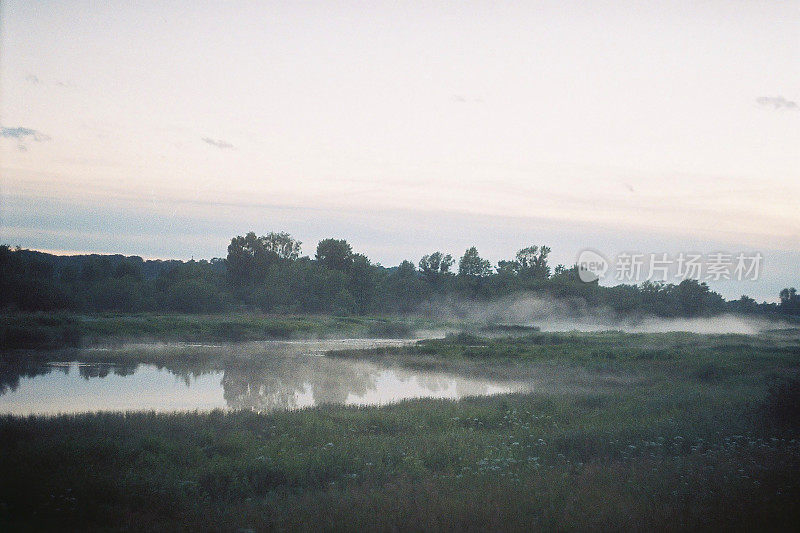 电影扫描照片。照片上有灰尘和划痕。雾湖。自然背景。早上的日出。美丽的夏天多雾的风景。黄昏在湖。有雾的黎明。复古的风格。草地