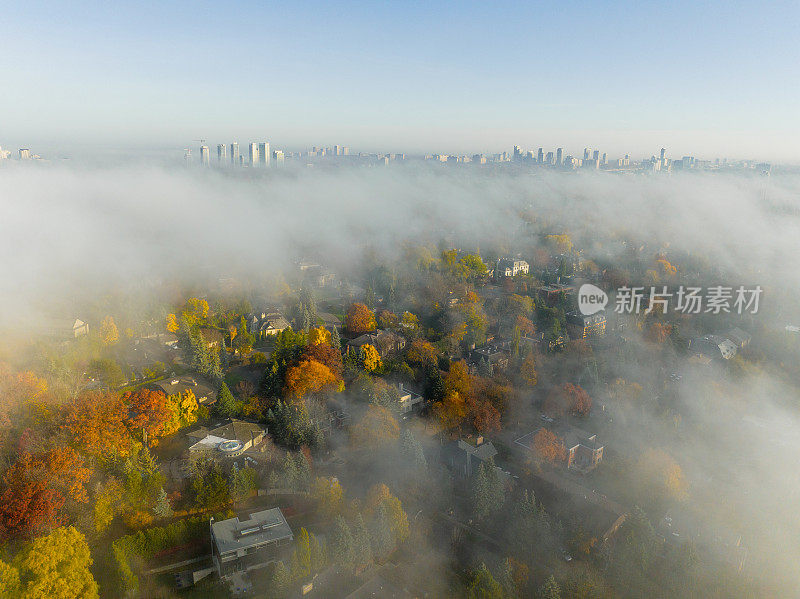 以市中心为背景的多伦多秋雾