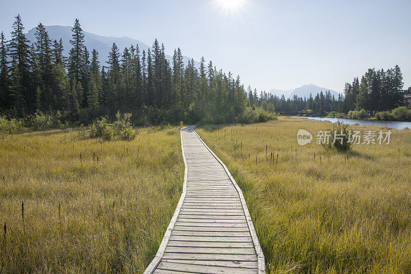 风景如画的木板路在沼泽，在山区