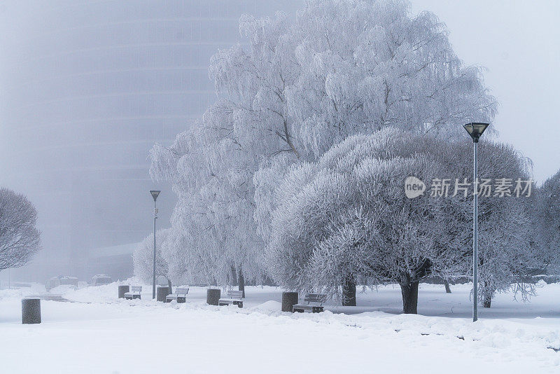 冬天早晨的Kipsala岛海滩