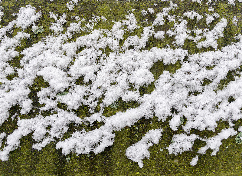 旧的、泛绿的板凳背盖上了新雪。