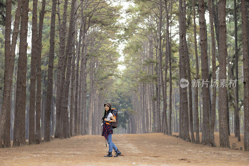 女旅行者在暑假假期旅行。游客享受松林观光，松林山间徒步的生活方式。