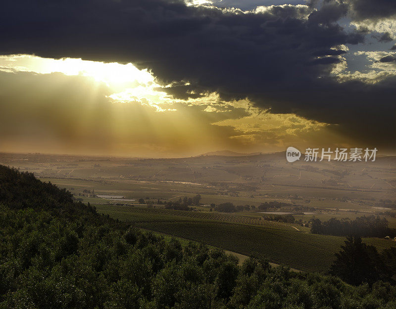 Stellenbosch景观