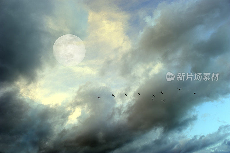 月亮，云，天空，鸟的剪影