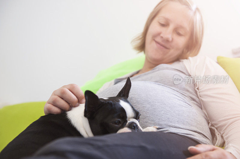 一个孕妇和她的波士顿小猎犬坐在沙发上