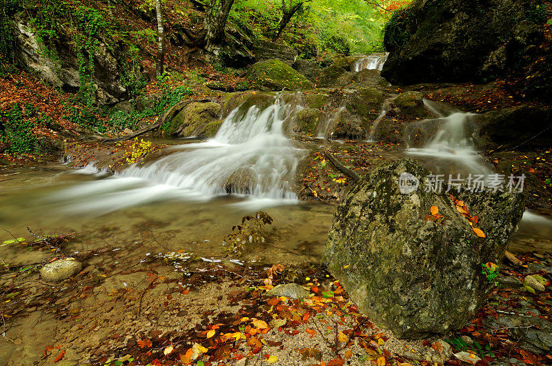 秋天森林里湍急的山涧