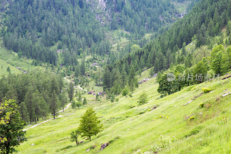 夏季意大利阿尔卑斯山的山景