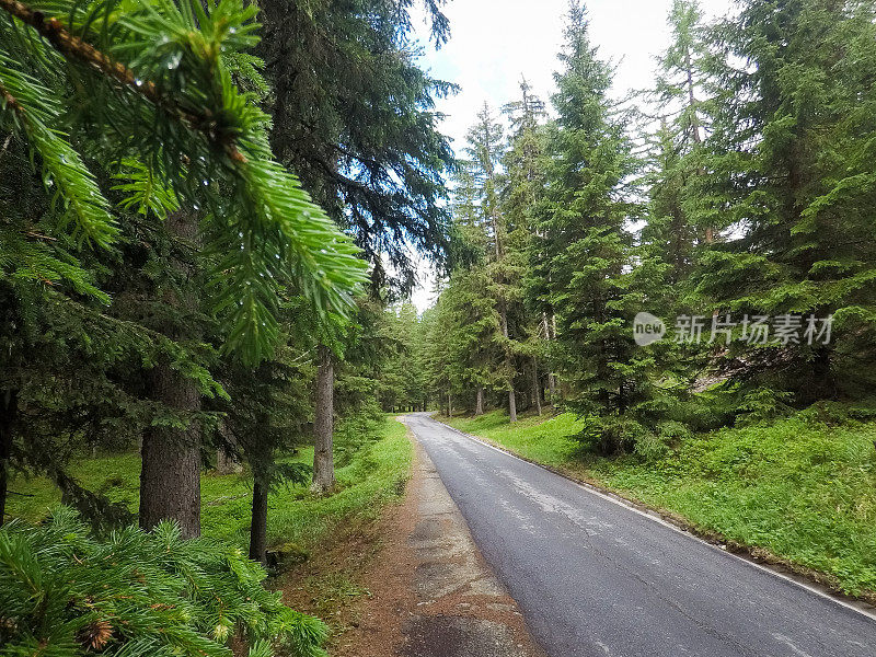 瑞士阿尔卑斯山的道路